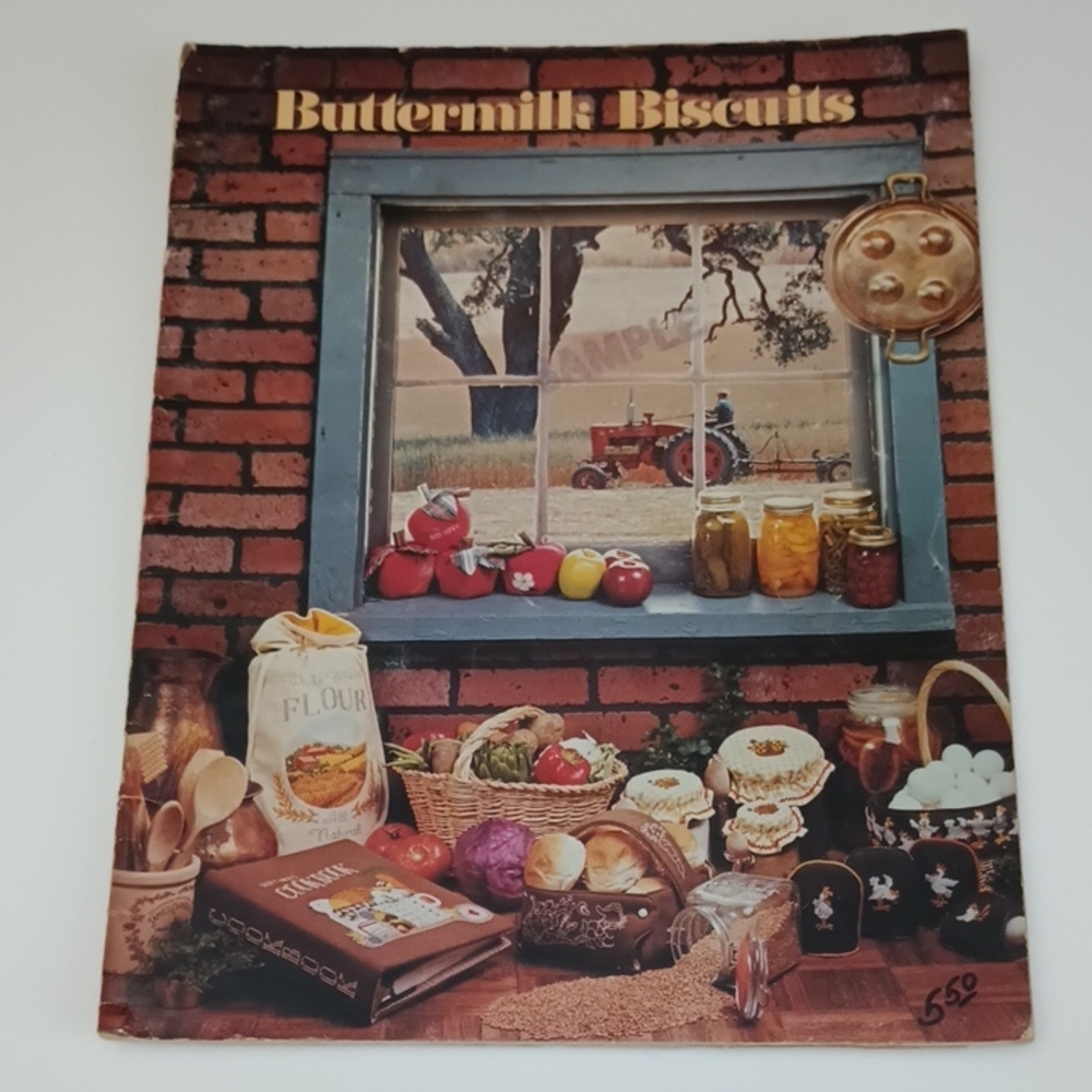 2/$15 VTG Buttermilk Biscuits Charted Cross Stitch Pattern Book ©1981